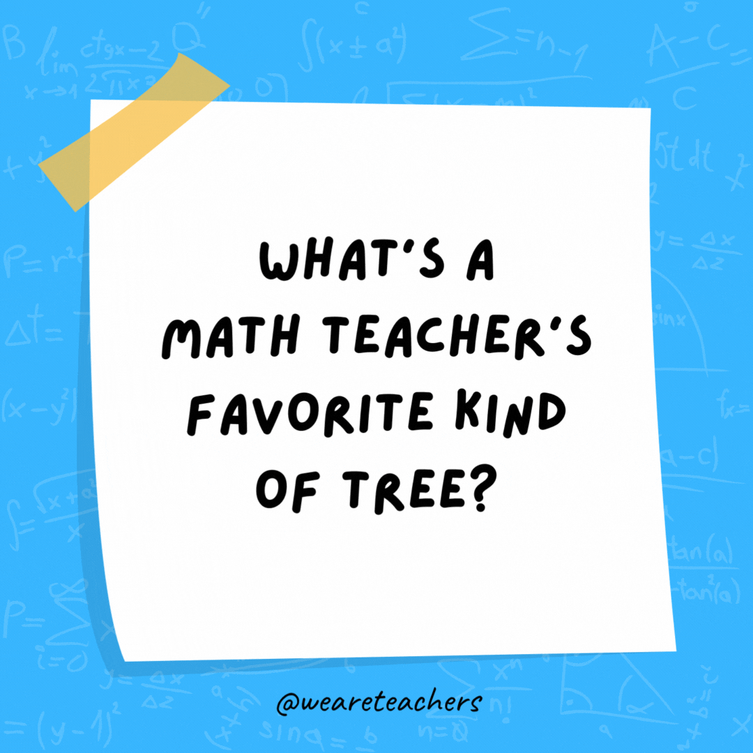 What’s a math teacher’s favorite kind of tree? Geometry.