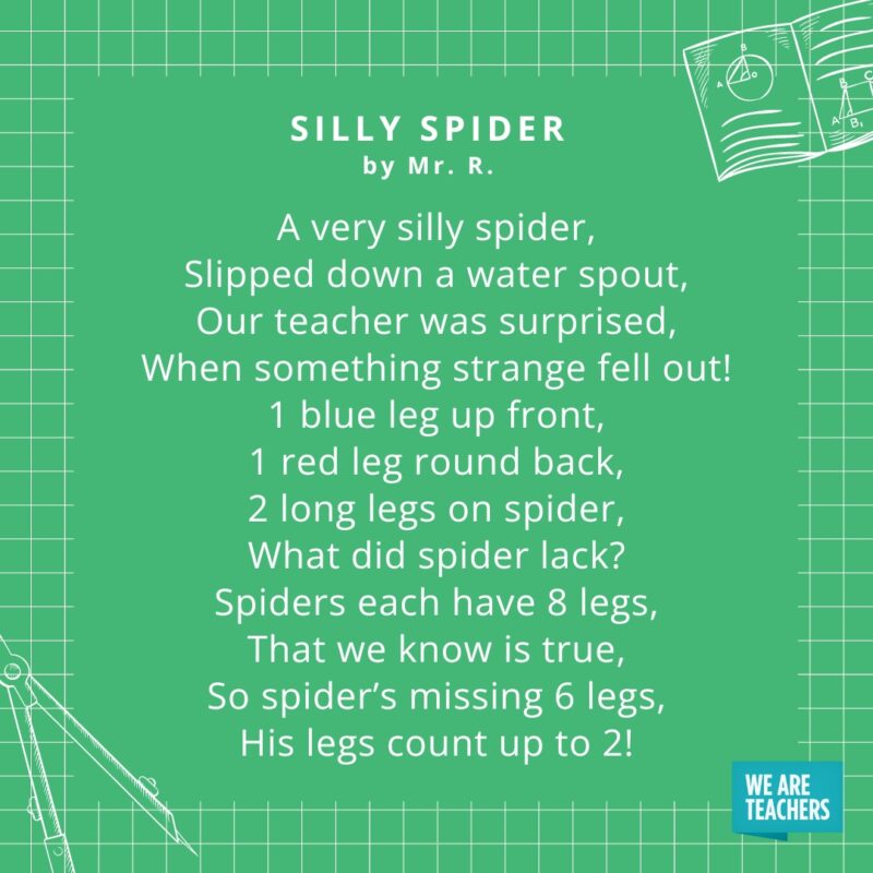 silly spider by Mr. R.