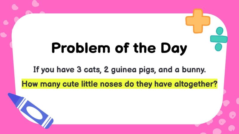 If you have 3 cats, 2 guinea pigs, and a bunny. How many cute little noses do they have altogether?