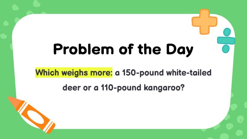 Which weighs more: a 150-pound white-tailed deer or a 110-pound kangaroo?