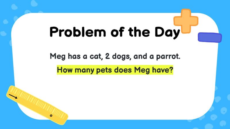 Meg has a cat, 2 dogs, and a parrot. How many pets does Meg have?