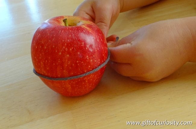Two hands hold a piece of string wrapped around an apple 