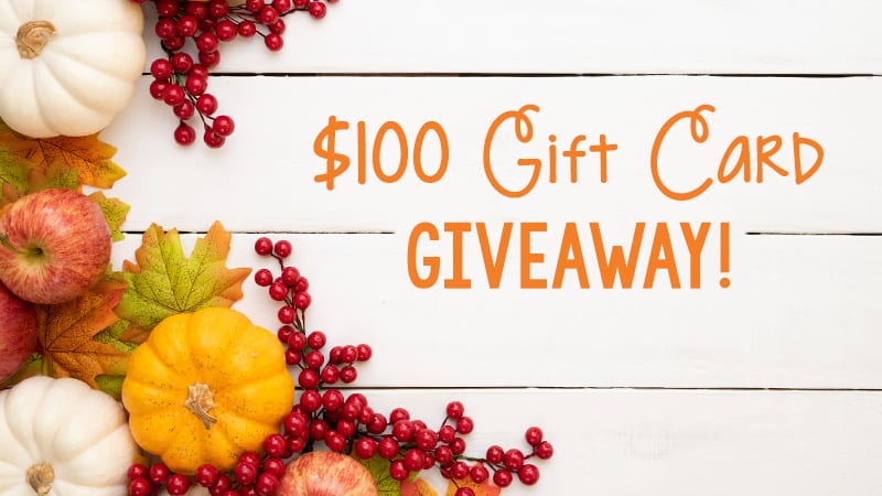 $100 Gift Card Giveaway for Michigan Teachers