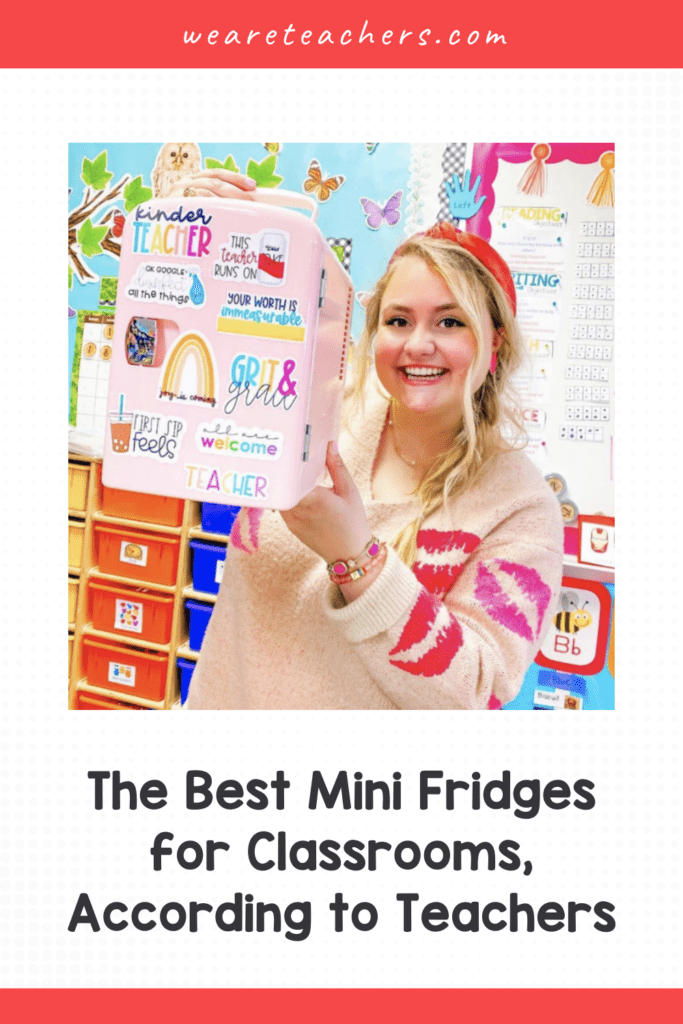 The Best Mini Fridges for Classrooms, According to Teachers