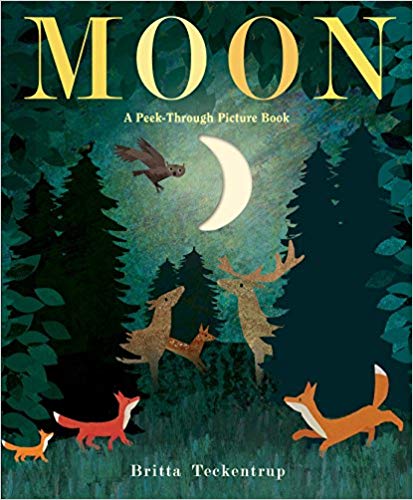 Book cover for Moon: A Peek-Through Picture Book by Britta Teckentrup