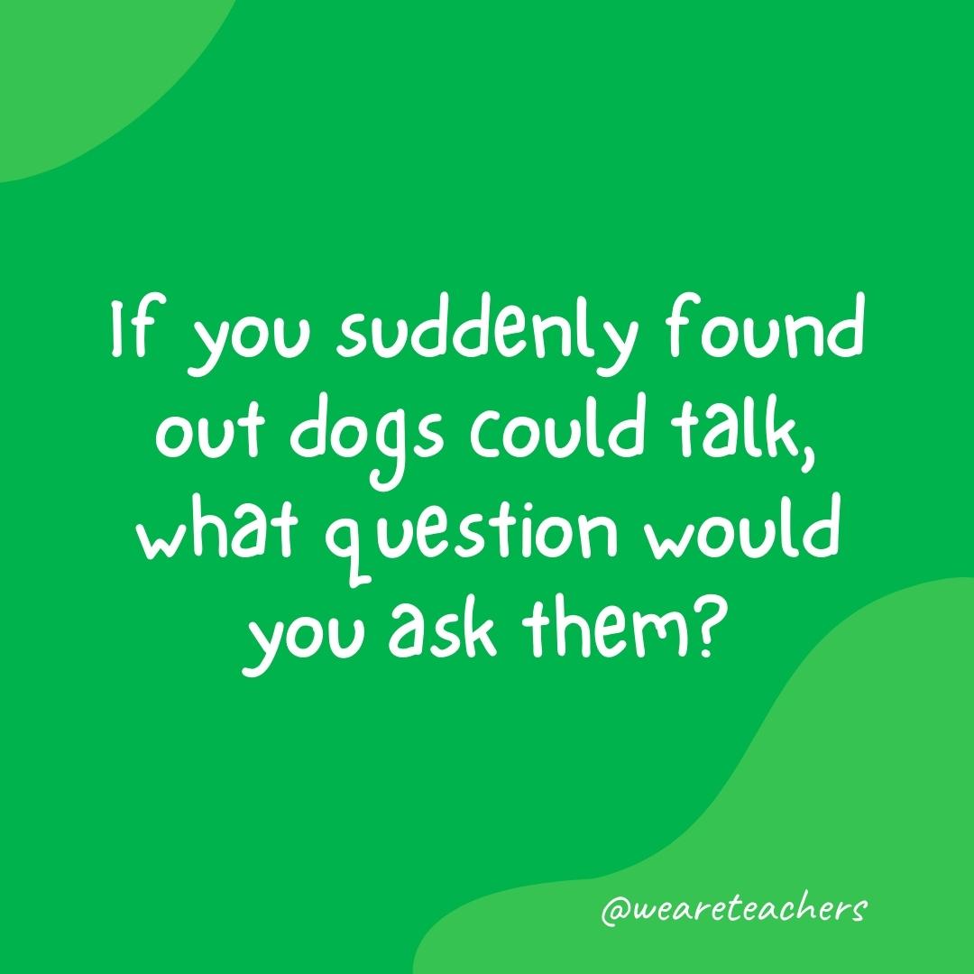 If you suddenly found out dogs could talk, what question would you ask them?