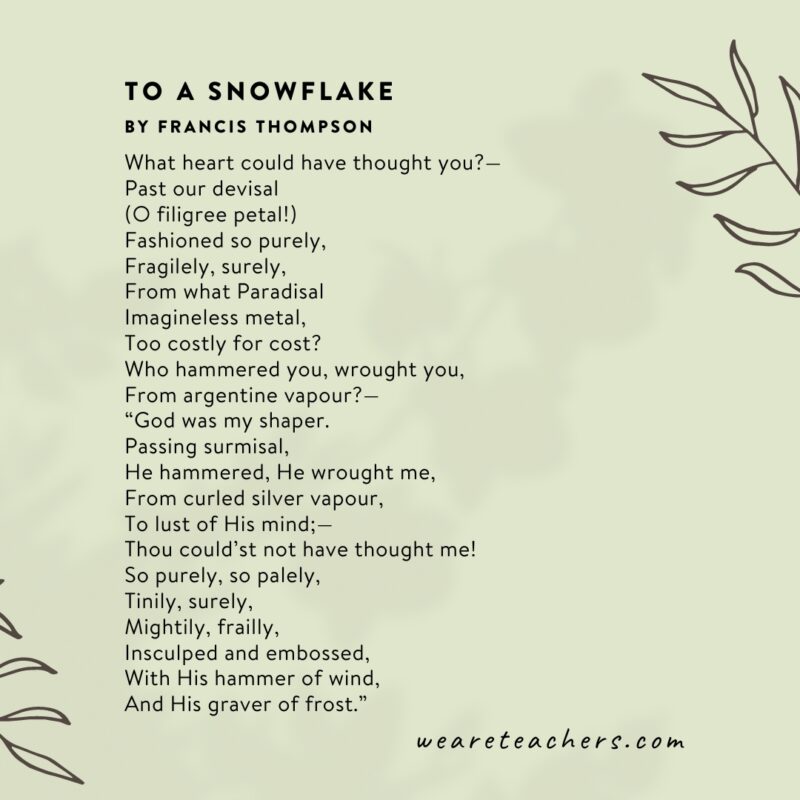 To a Snowflake by Francis Thompson