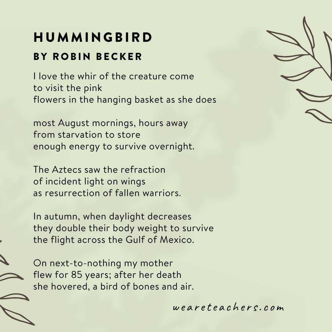 Hummingbird by Robin Becker.
