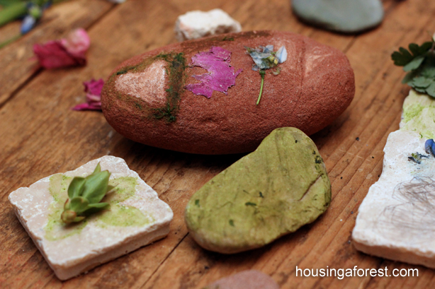 Different color rocks with leaf markings and other etchings 