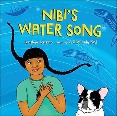 Book cover of Nibi's Water Song by Sunshine Tenasco
