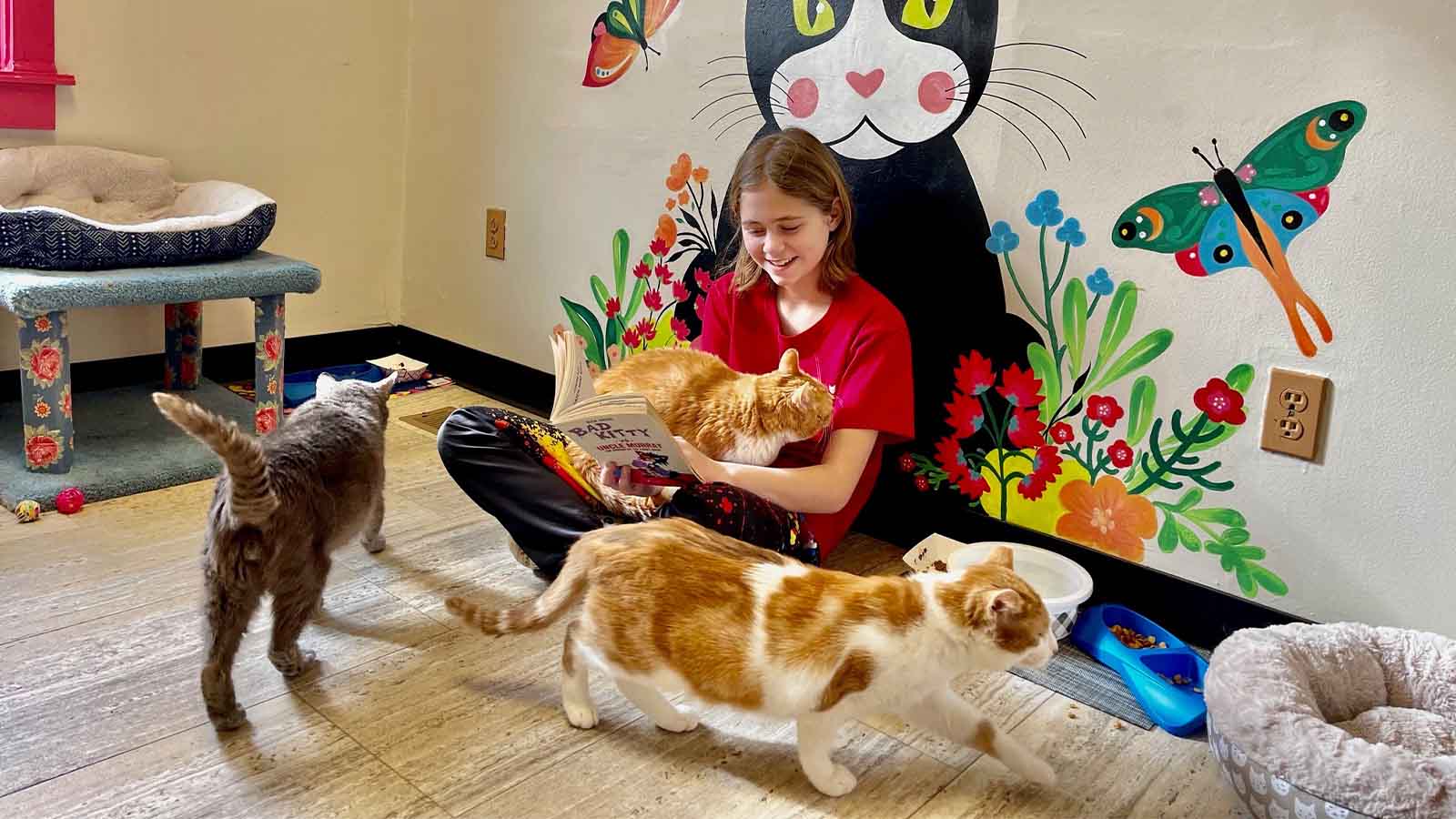 Tween girl reads books to cats as part of the Mutt-i-grees program