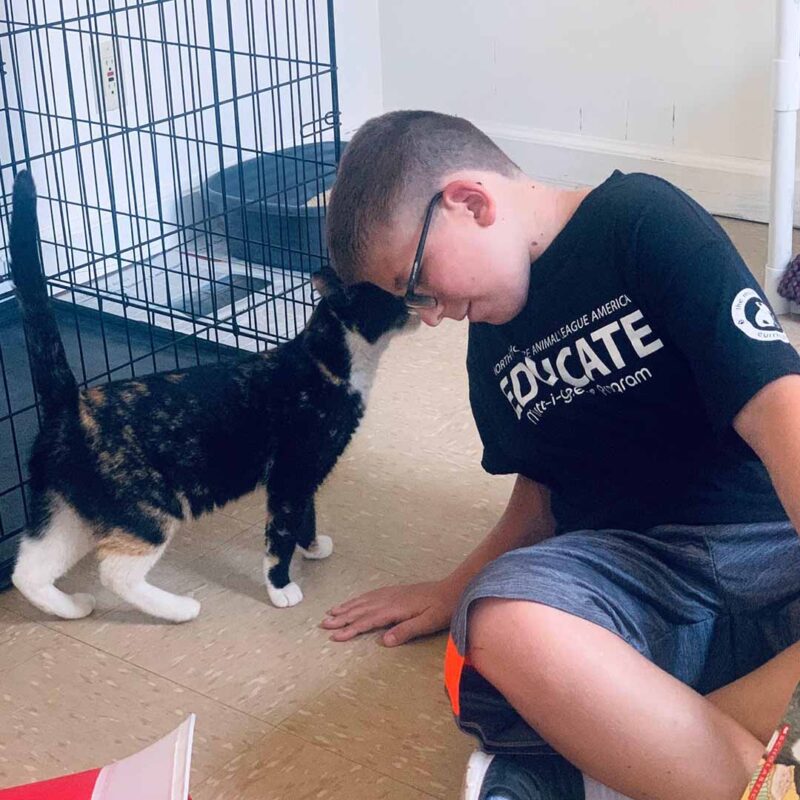 Tween boy touches his forehead to a cats forehead while using Mutt-i-grees resources