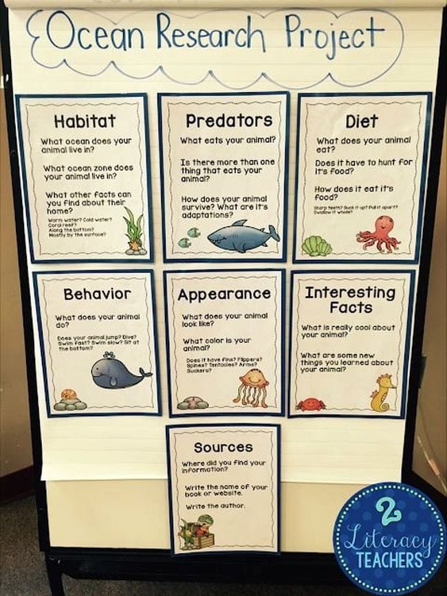 A large poster board says ocean research project. There are 6 papers that say habitat, predators, diet, behavior, appearance, interesting facts, and sources. (ocean activities)