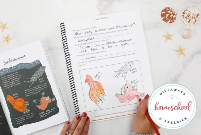 A hand is shown drawing sea creatures in a notebook. 