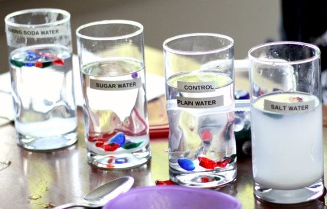 Four clear glasses are labeled baking soda water, sugar water, control plain water, and salt water. 
