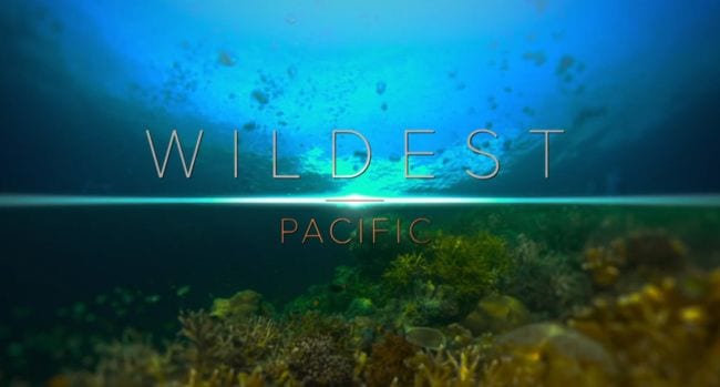 A screenshot from the opening scene of a documentary shows under the ocean with the words Wildest Pacific across it. (ocean activities)