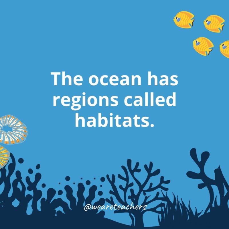 The ocean has regions called habitats.
