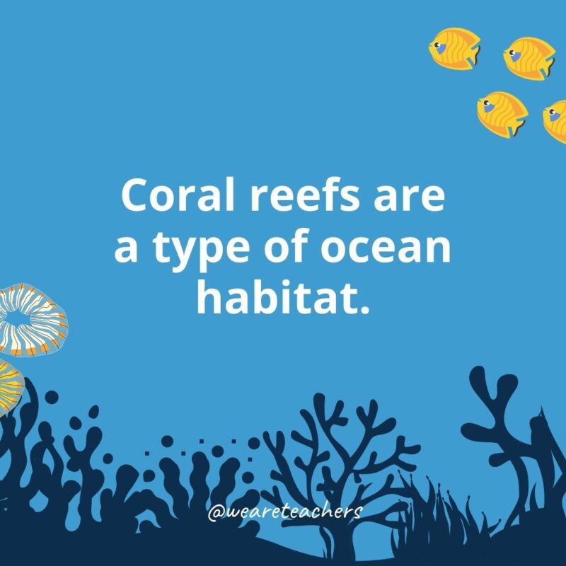 Coral reefs are a type of ocean habitat.