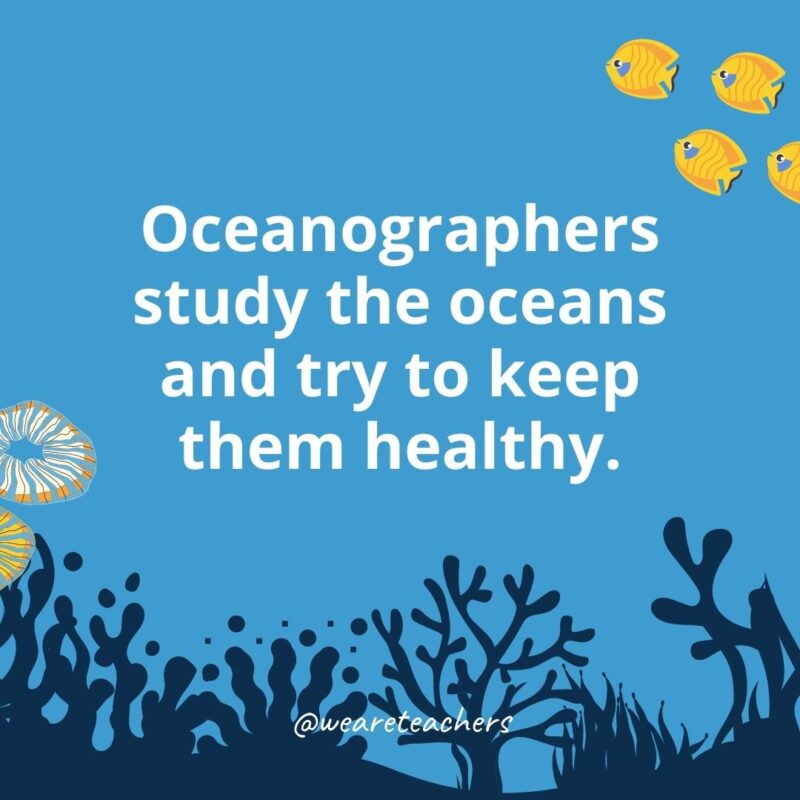Oceanographers study the oceans and try to keep them healthy.