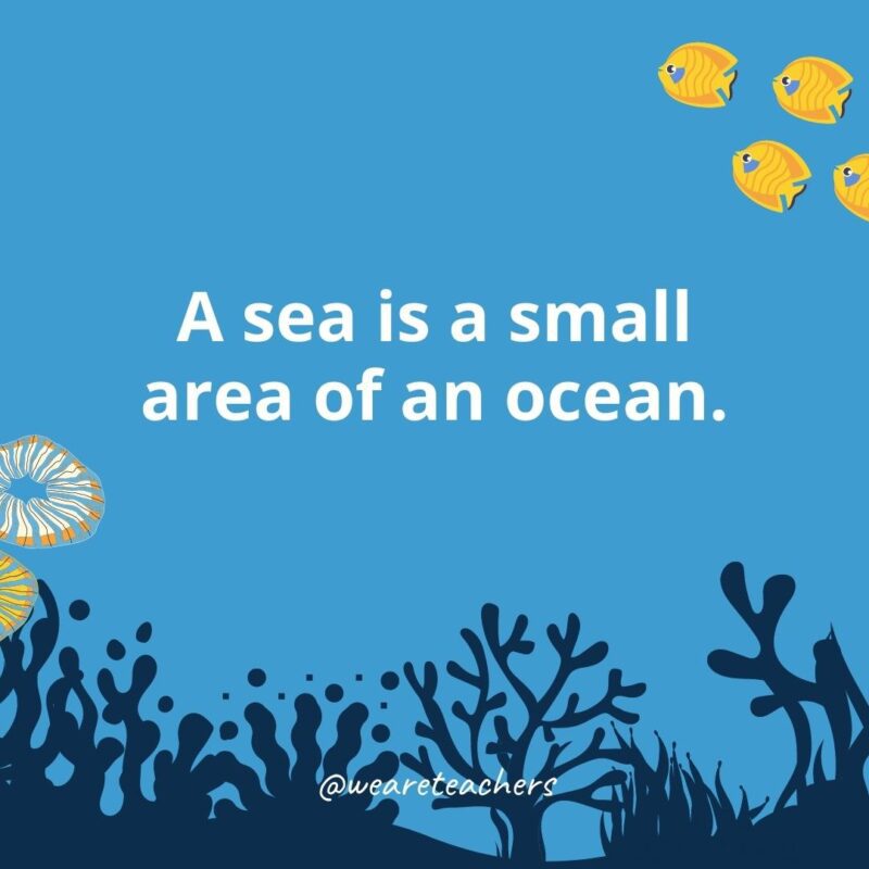 Ocean facts for kids: a sea is a small area of an ocean. 