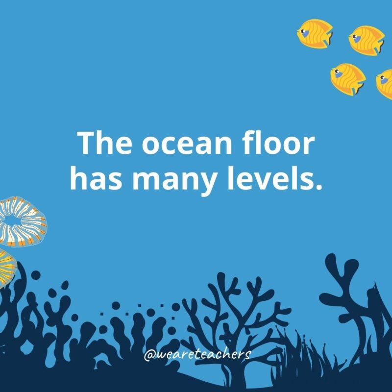 Ocean facts for kids: the ocean floor has many levels.
