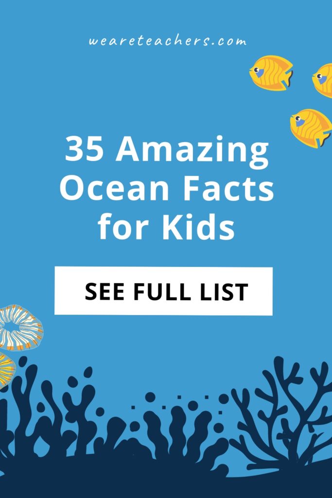 These ocean facts for kids are truly amazing! Learn more about the bodies of water that make up 71% of our beautiful planet!