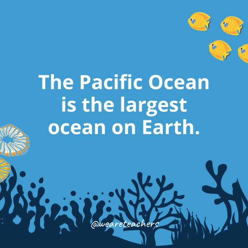 The Pacific Ocean is the largest ocean on Earth.