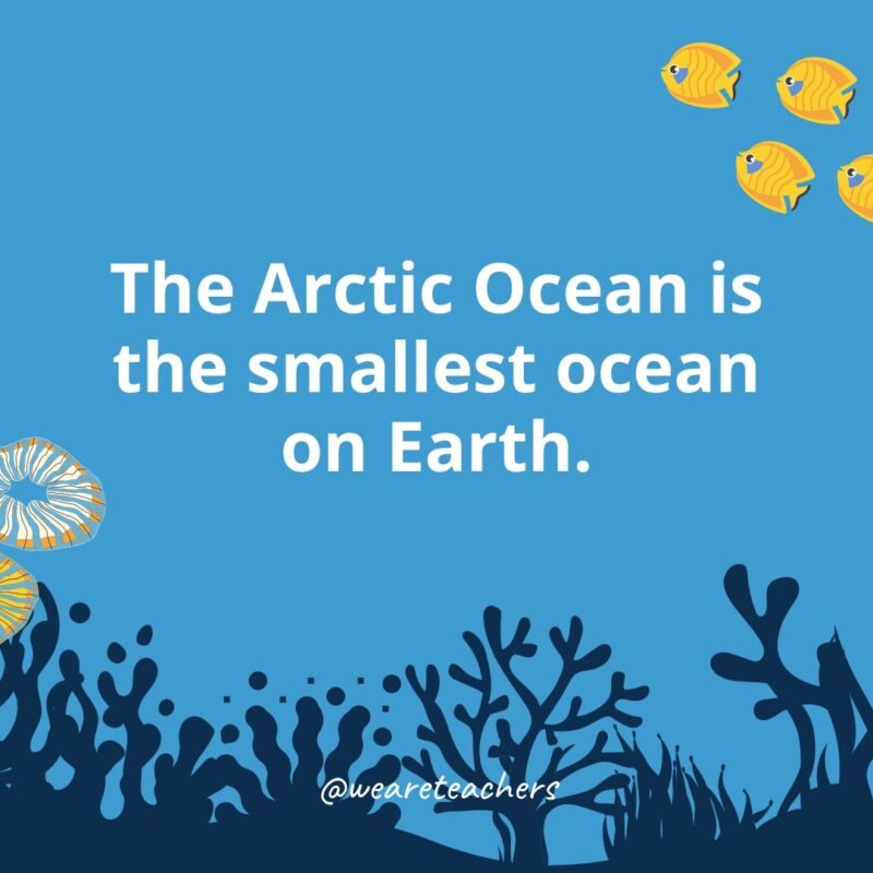The Arctic Ocean is the smallest ocean on Earth.