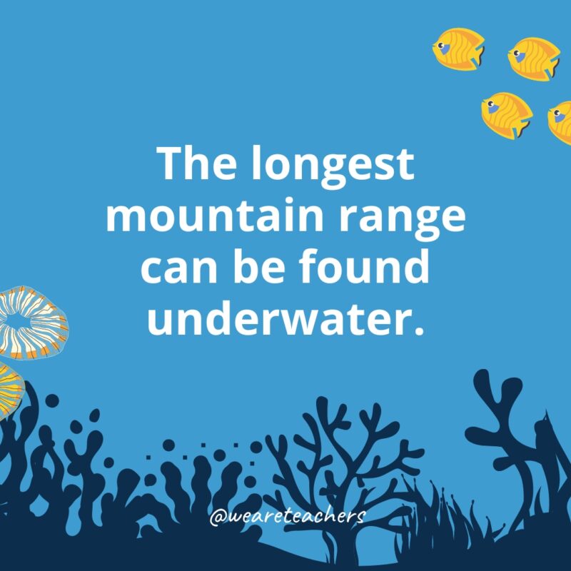The longest mountain range can be found underwater.