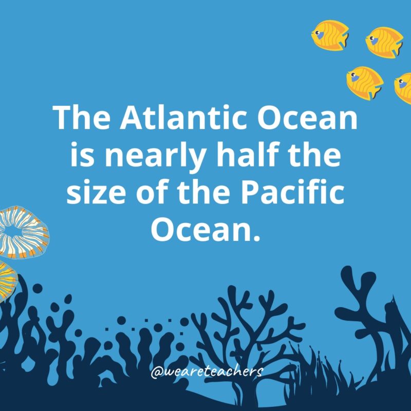 The Atlantic Ocean is nearly half the size of the Pacific Ocean.