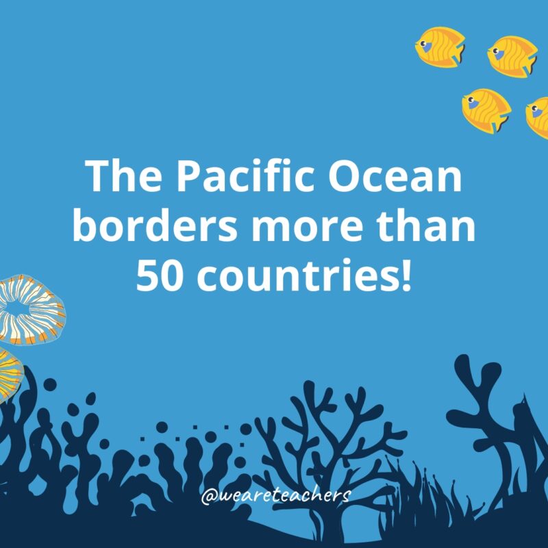 The Pacific Ocean borders more than 50 countries!