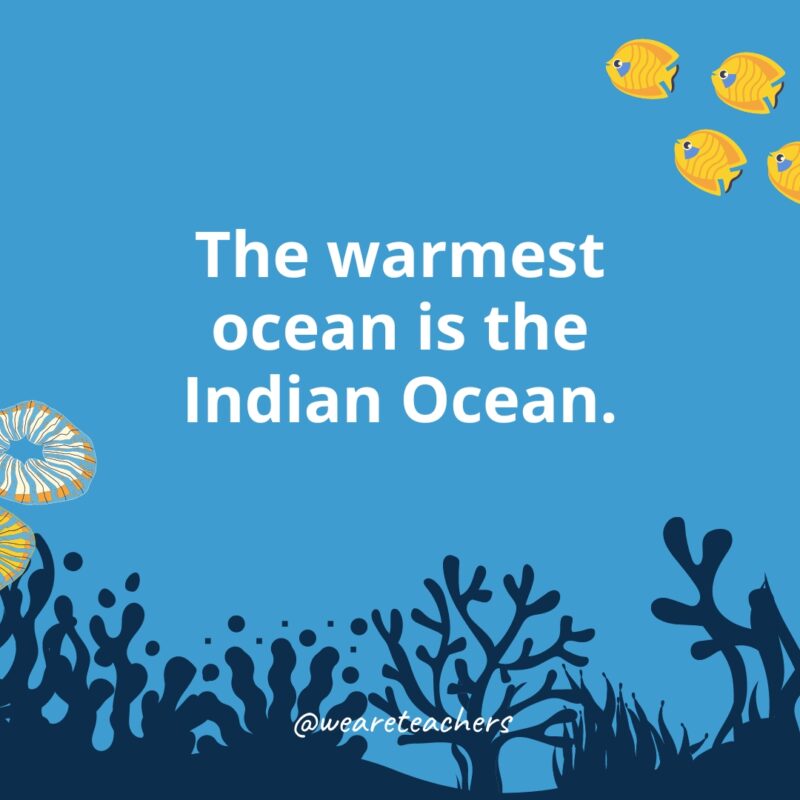 The warmest ocean is the Indian Ocean.