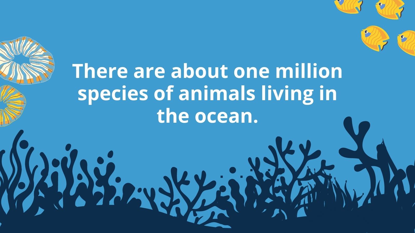 Ocean Facts for Kids to Share in the Classroom and at Home!
