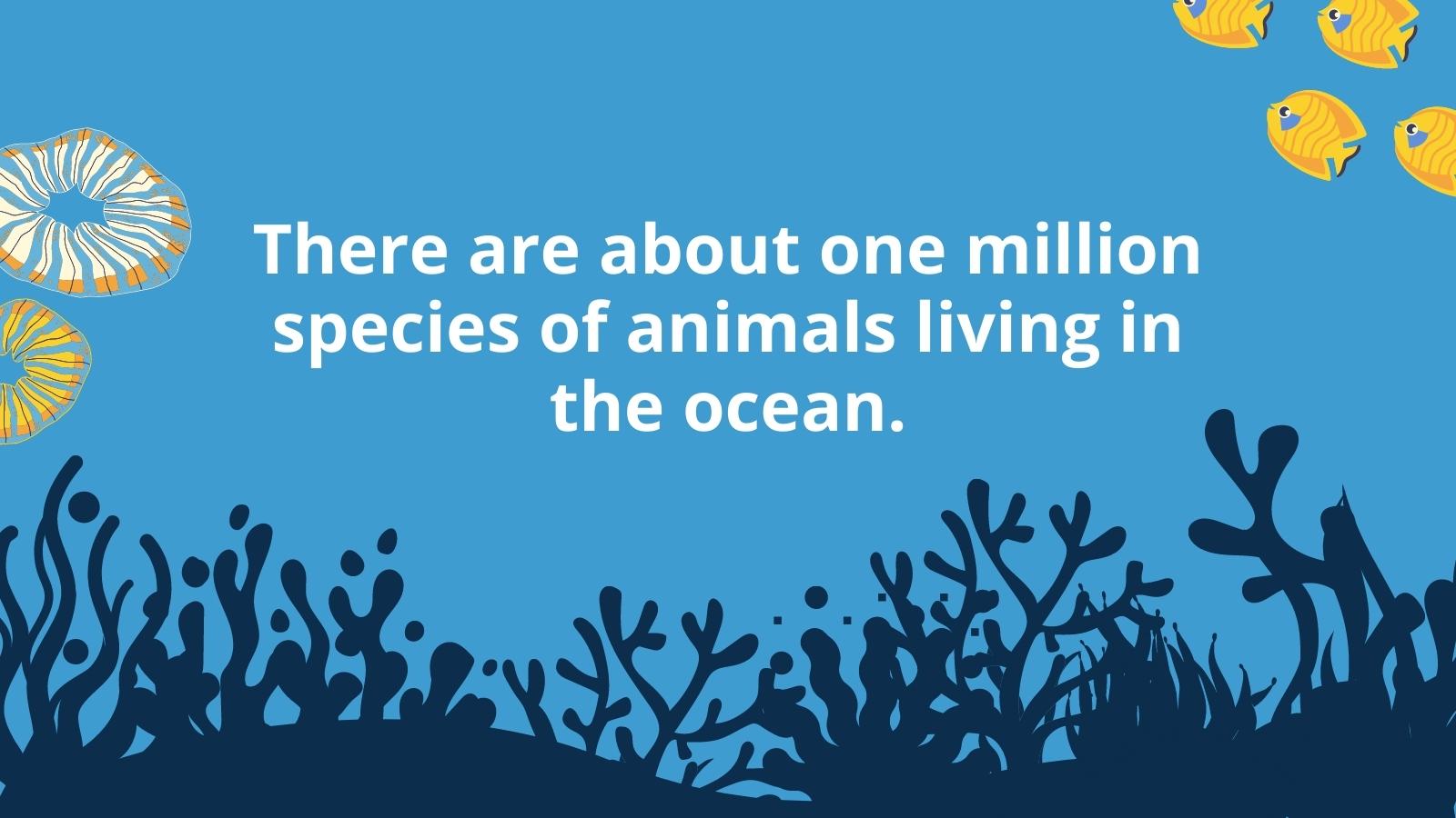 35 Ocean Facts for Kids to Share in the Classroom and at Home