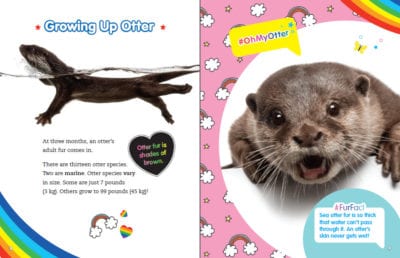 Book Pages: Otterly Adorable Otters