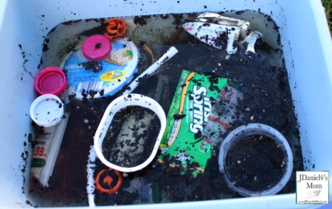 Plastic bin full of filthy water and litter