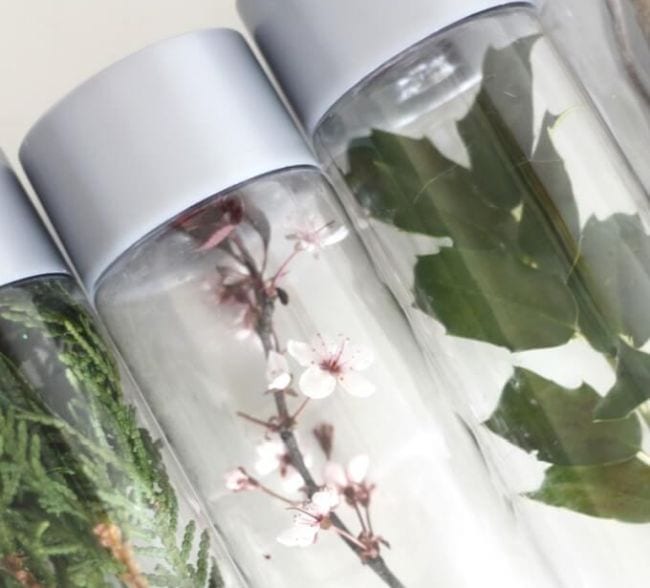 Outdoor science activities often use natural elements like these water bottles with leaves and flowers inside