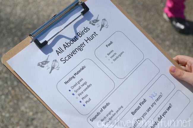 All About Birds Scavenger hunt printable on a clipboard