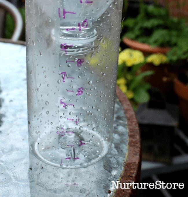 Rain gauge made from a plastic water bottle
