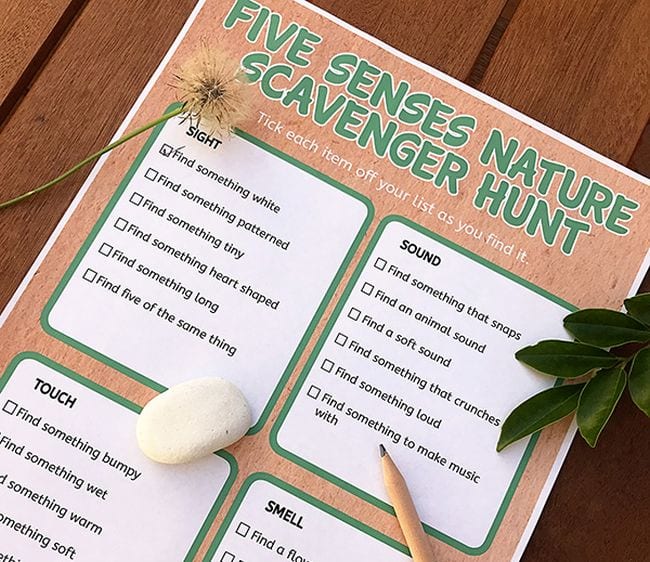 Printable Five Senses Nature Scavenger Hunt sheet with pencil, rock, leaves, and dandelion