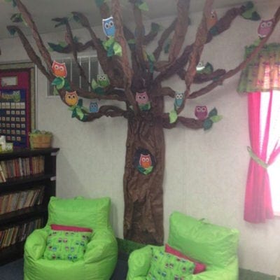 Tree in classroom with owls hanging from it