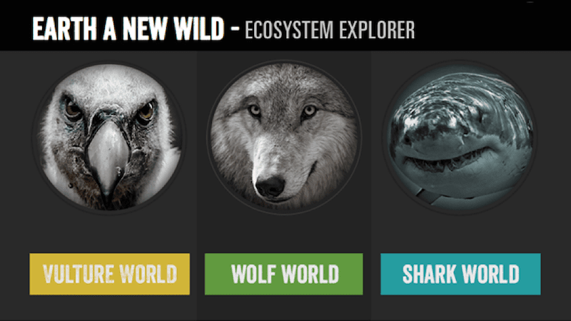 Vulture-Wolf-Shark Ecosystems - Earth Day Activities