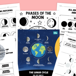 Feature image showing pages from the Phases of the Moon Worksheet & Activity Bundle.