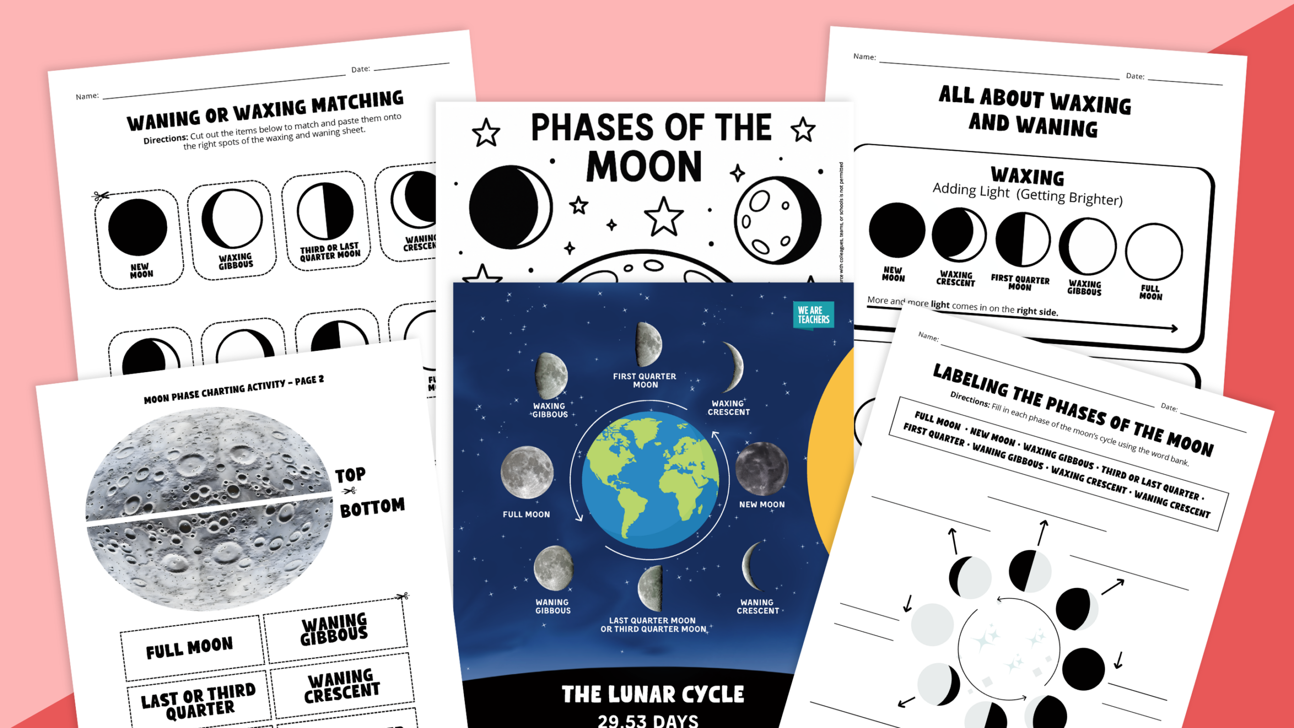 Feature image showing pages from the Phases of the Moon Worksheet & Activity Bundle.