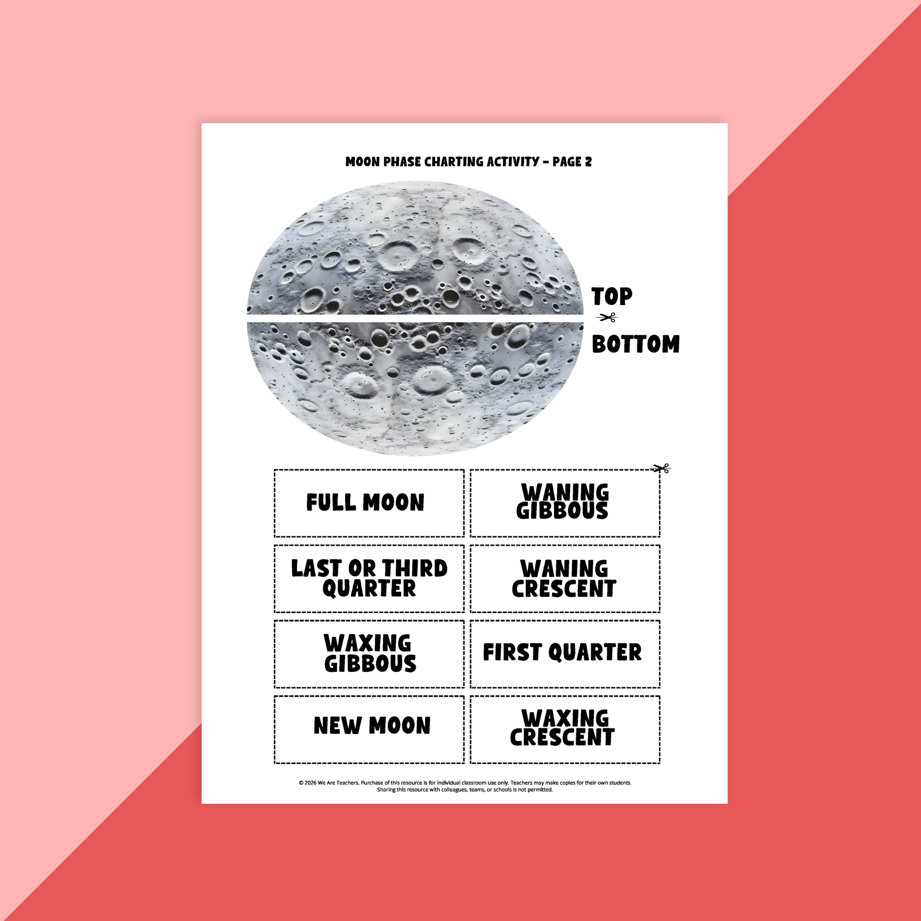 Image of an example activity from the Phases of the Moon Worksheet & Activity Bundle.