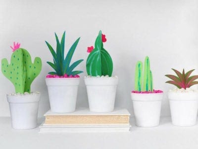 Printed 3-D cactus garden in white pots with pink flowers