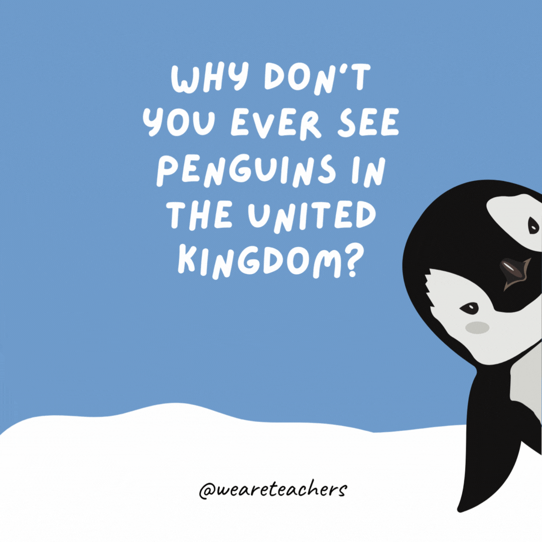 Why don't you ever see penguins in the United Kingdom?

Because they're afraid of Wales.