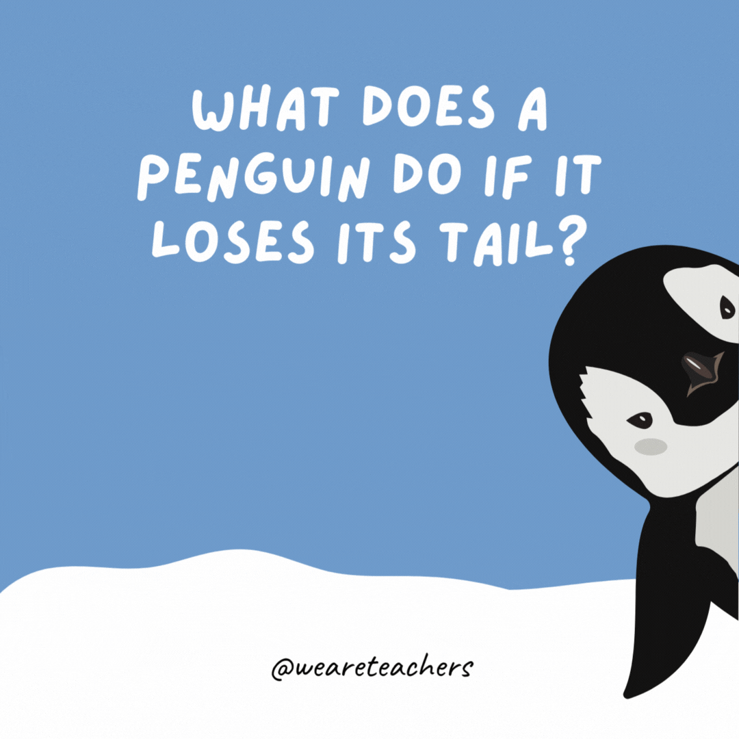 What does a penguin do if it loses its tail? It goes to a re-tail store.- penguin jokes