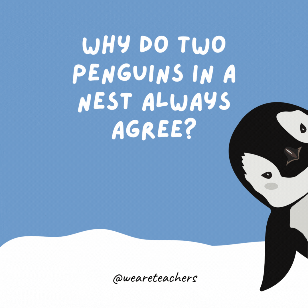 Why do two penguins in a nest always agree?

Because they don’t want to fall out.