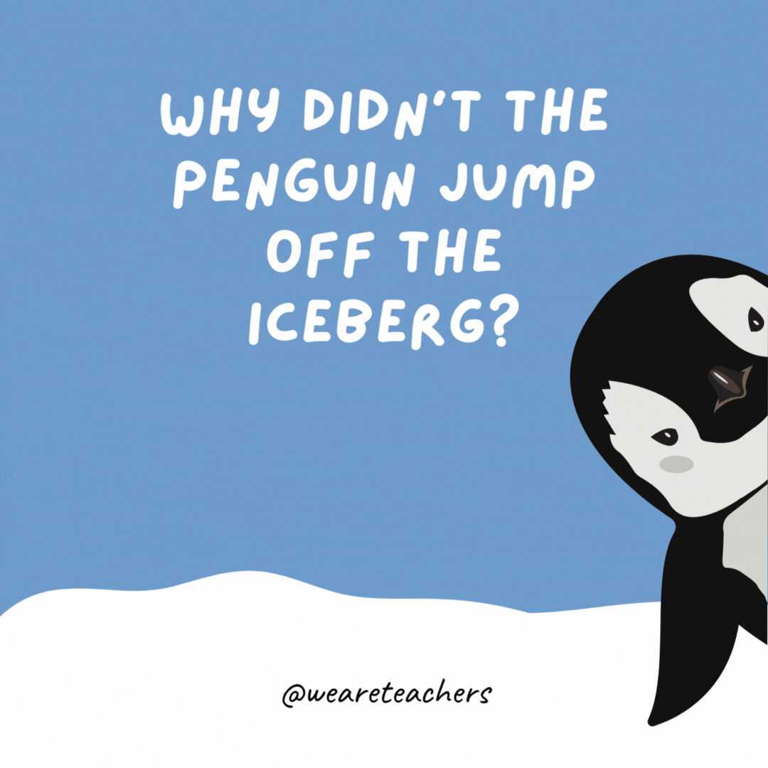 Why didn’t the penguin jump off the iceberg? He got cold feet.- penguin jokes